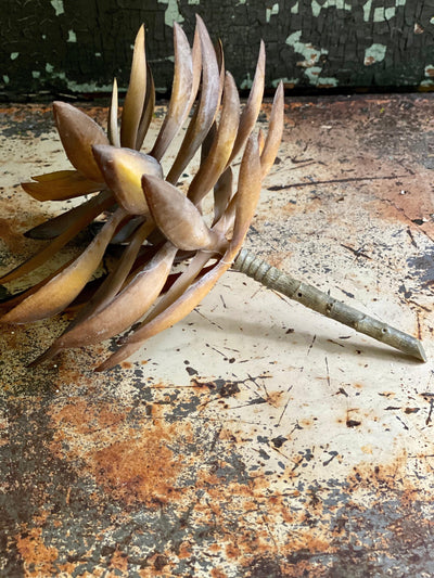 Faux Medium Brown/Green Succulent