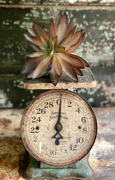 Faux Medium Brown/Green Succulent