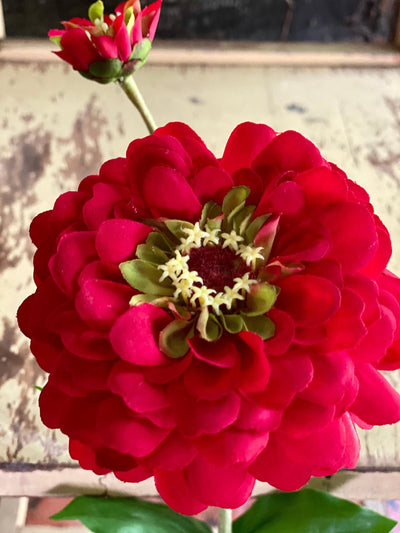 Faux Zinnia Bloom & Bud Stem