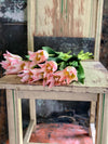 Faux Pink Tulip