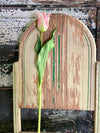 Faux Pink Tulip