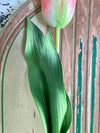Faux Pink Tulip