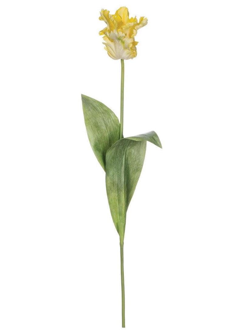 Faux Parrot Tulip ~ Real Touch