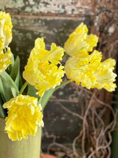 Faux Parrot Tulip ~ Real Touch