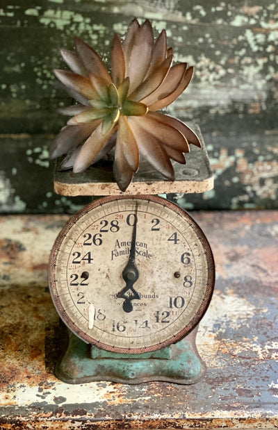 Faux Medium Brown/Green Succulent