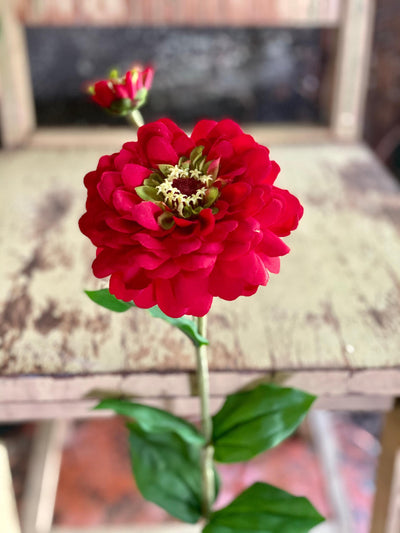 Faux Zinnia Bloom & Bud Stem