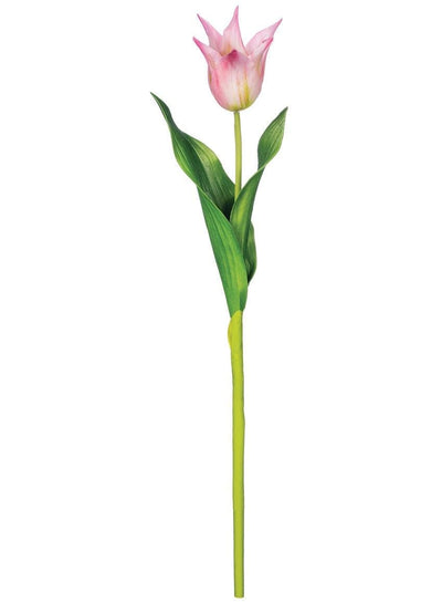 Faux Pink Tulip