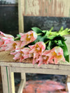 Faux Pink Tulip