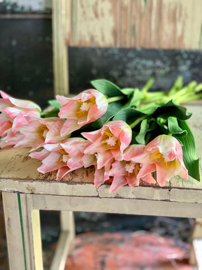 Faux Pink Tulip
