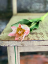 Faux Pink Tulip