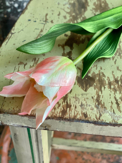 Faux Pink Tulip