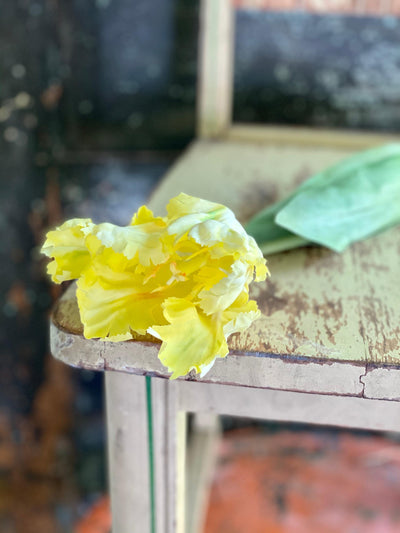 Faux Parrot Tulip ~ Real Touch