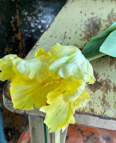 Faux Parrot Tulip ~ Real Touch