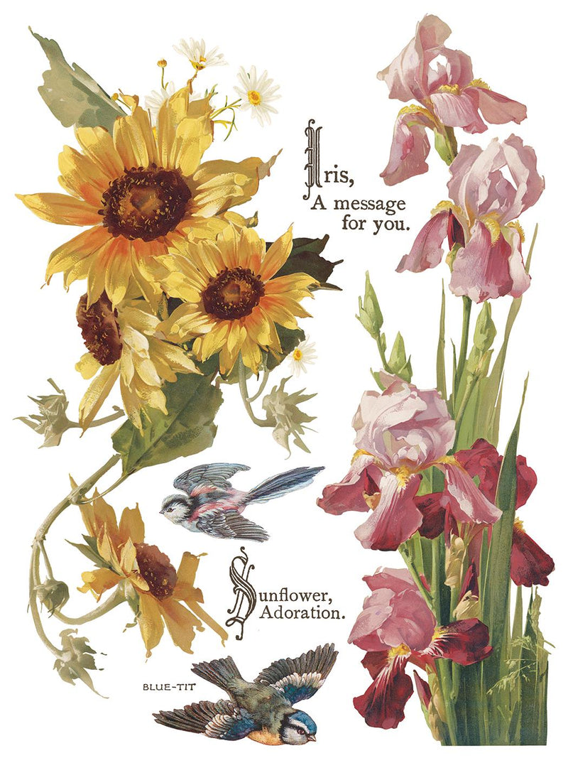 IOD Flowers By The Poets Rub On Transfer Sheet (12x16)