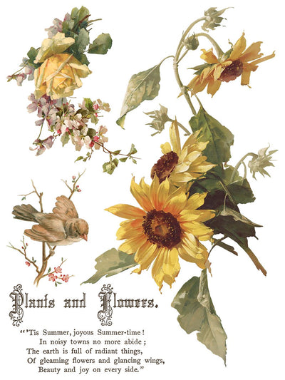 IOD Flowers By The Poets Rub On Transfer Sheet (12x16)