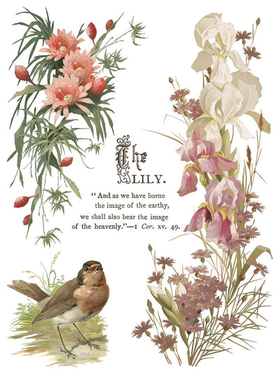 IOD Flowers By The Poets Rub On Transfer Sheet (12x16)