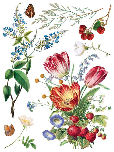 IOD Marche Des Fleurs Rub On Transfer Sheet (12x16)