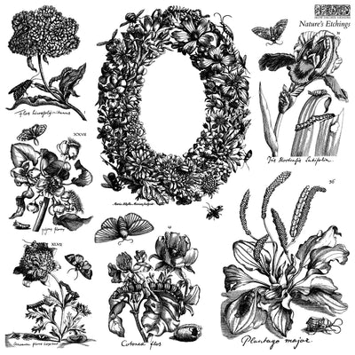 IOD Natures Etchings Stamp