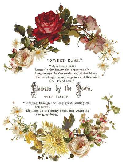 IOD Flowers By The Poets Rub On Transfer Sheet (12x16)