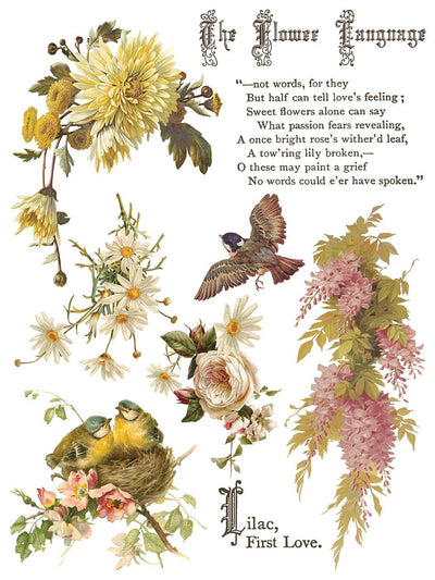 IOD Flowers By The Poets Rub On Transfer Sheet (12x16)