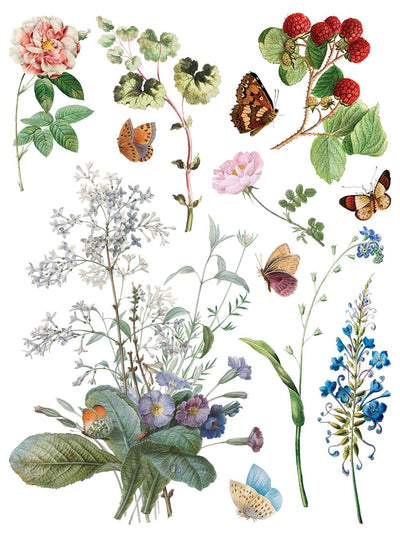 IOD Marche Des Fleurs Rub On Transfer Sheet (12x16)
