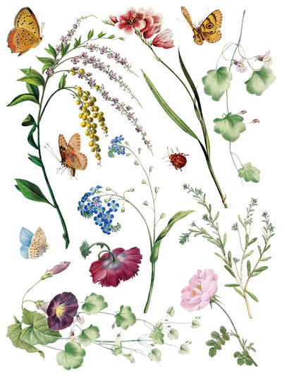 IOD Marche Des Fleurs Rub On Transfer Sheet (12x16)