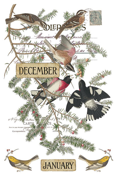 IOD Winter’s Calling Rub On Transfer Sheet