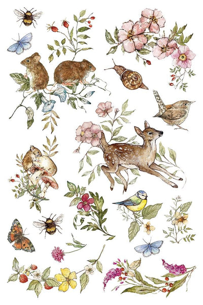 IOD Bramblewood Diaries Rub On Transfer Sheet