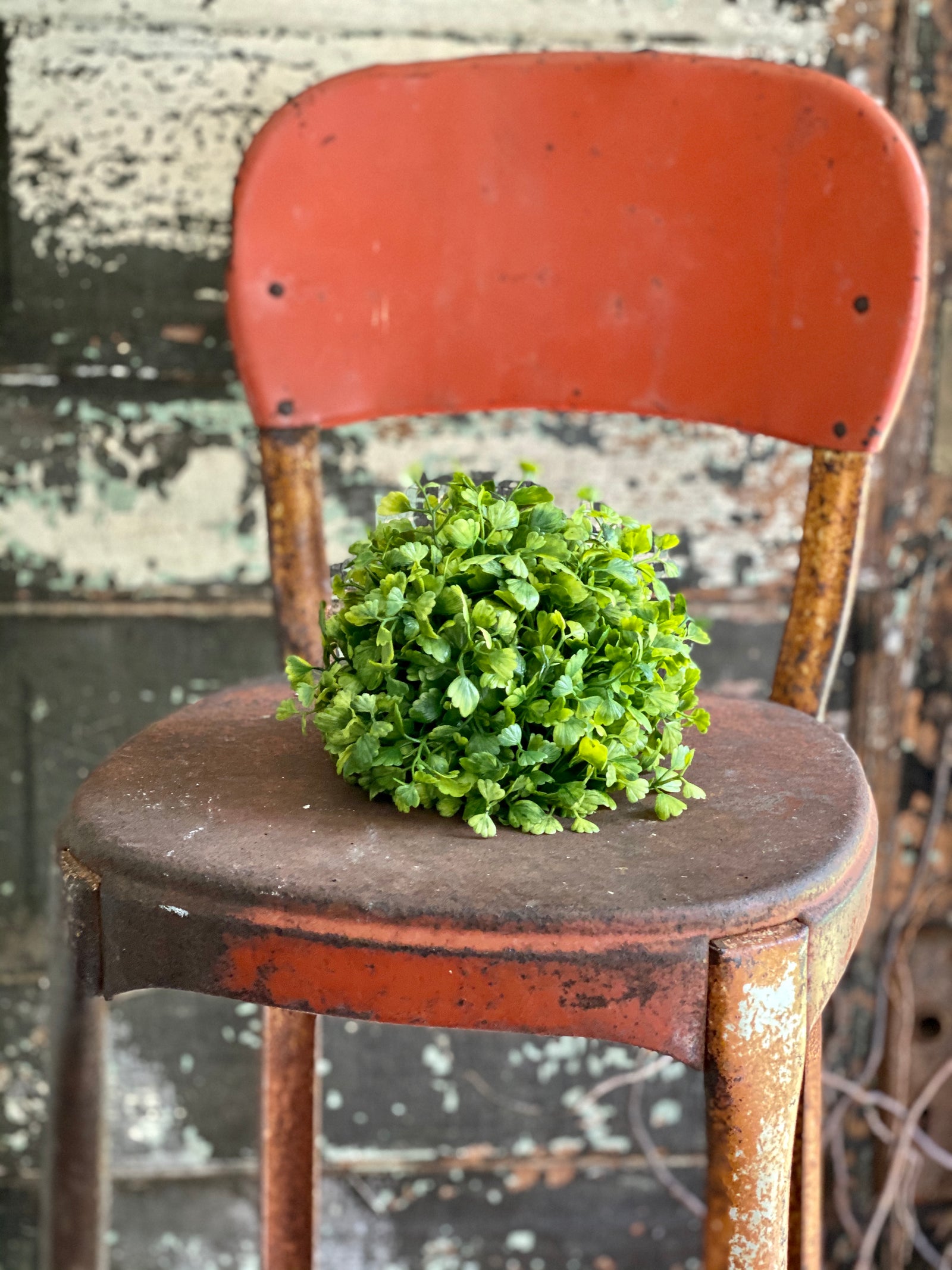 Maiden Hair Fern Half Sphere
