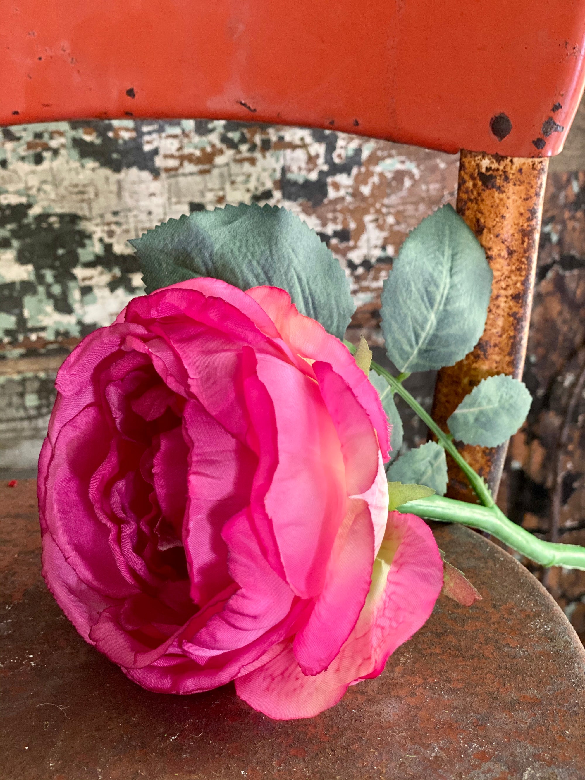 Cabbage Rose Flower