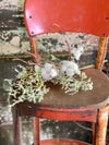 Cotton & Eucalyptus Spray