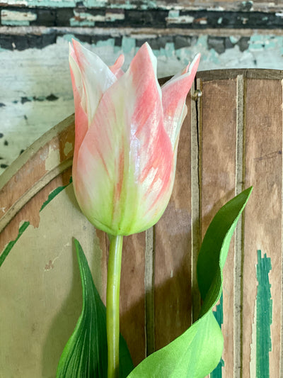 Faux Pink Tulip