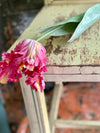 Faux Parrot Tulip ~  Real Touch