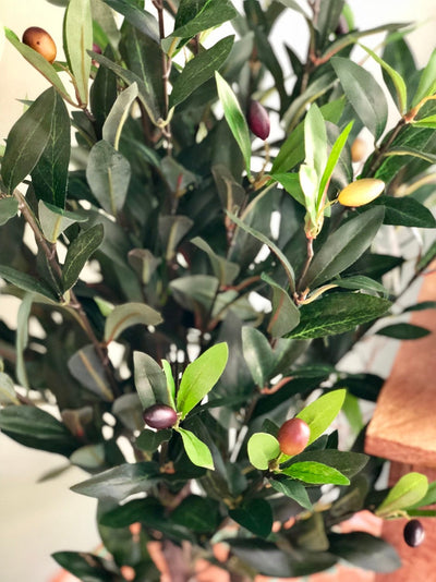 The Zoe Faux Olive Bush, Tabletop olive tree, home Office decor~silk olive tree~Mantle tree, farmhouse decor~large silk flower for table