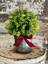 Tea Leaf Topiary Pot