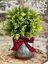 Tea Leaf Topiary Pot