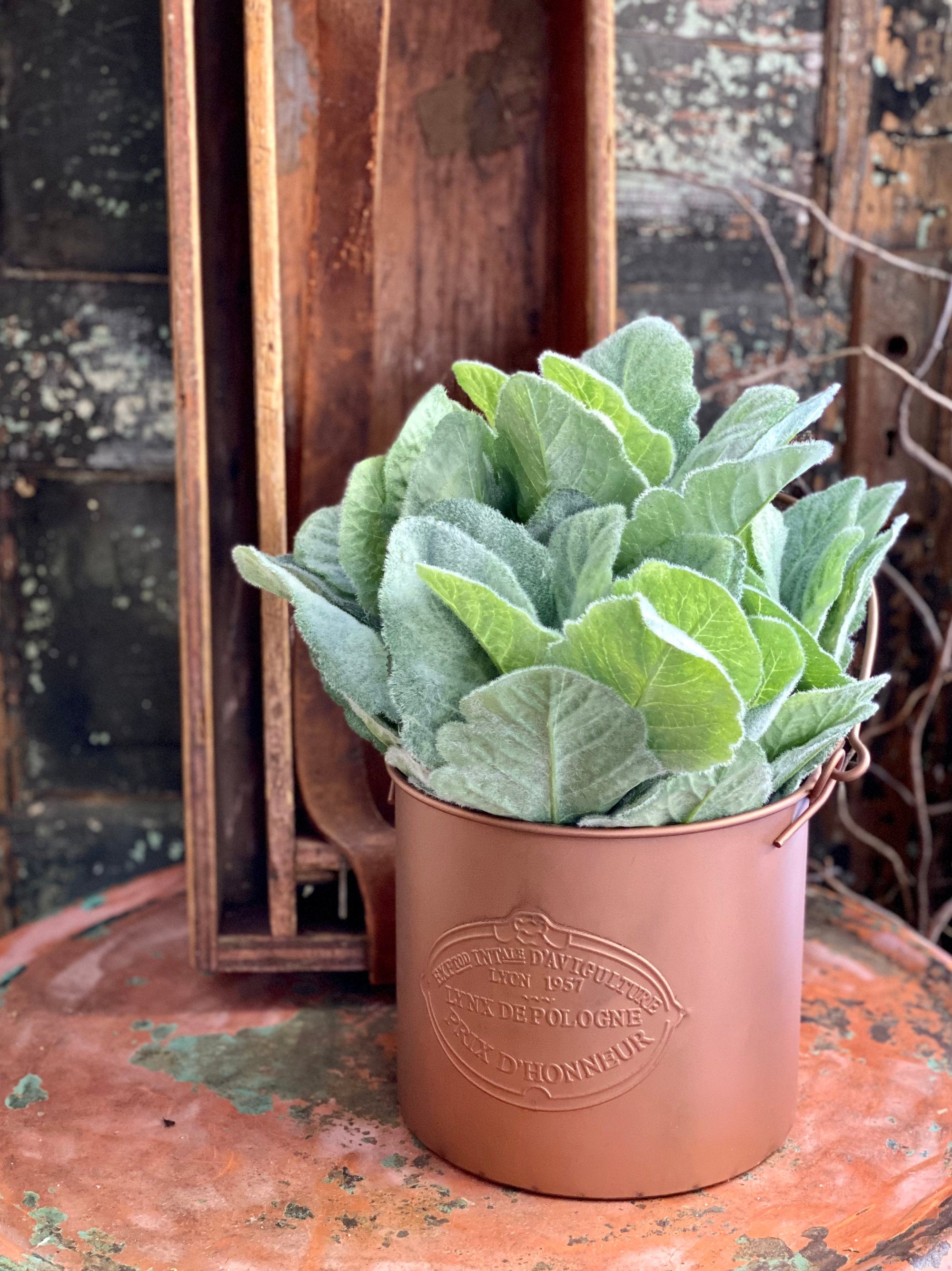 faux lambs ear potted plant Artificial Lambs Ear Leaf Greenery Bush