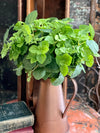 Artificial Mint Herb Greenery Spray, urn filler greenery, spring greenery, craft supply, wedding flower, realistic greenery