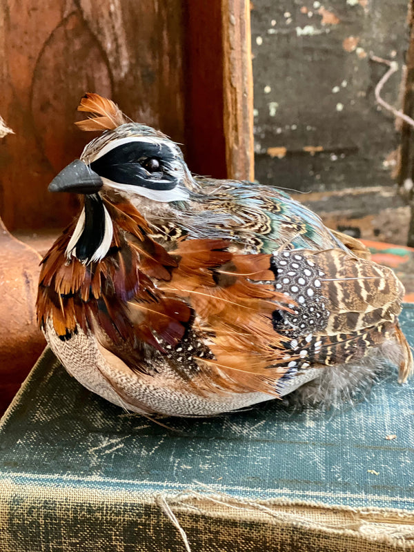 Medium Bowl: Quail Feather