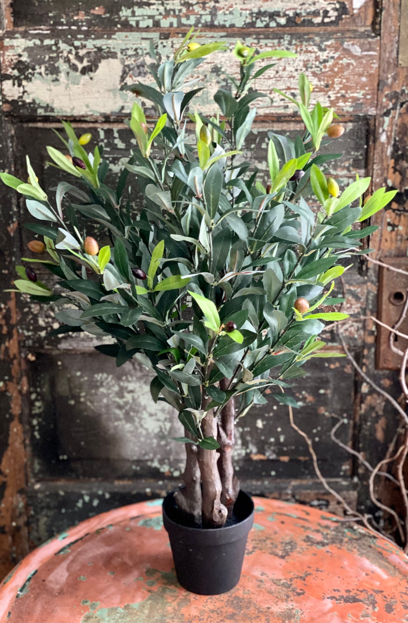 The Zoe Faux Olive Bush, Tabletop olive tree, home Office decor~silk olive tree~Mantle tree, farmhouse decor~large silk flower for table