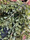 Artificial Boxwood Greenery Bush, Silk flower greenery, new england boxwood, craft supply, wedding flower, artificial green bush