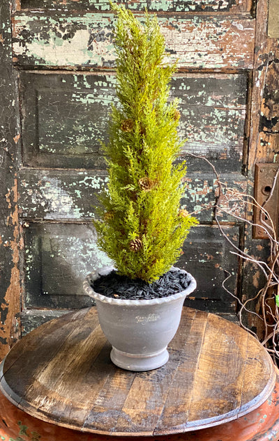The Hawthorne Artificial Real Touch Potted Cypress Tree, Tabletop tree, home office decor, Tree for mantle, farmhouse decor, gift for her