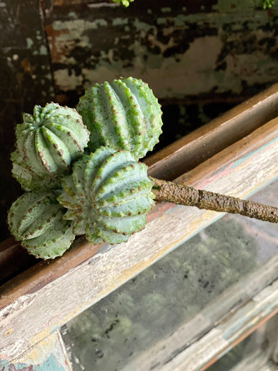 Artificial Barrel Cactus Succulent, Realistic Succulent greenery, fake cactus succulent, craft supply, floral arranging supply, 2 colors