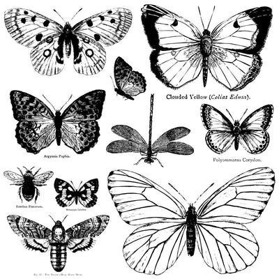 IOD Butterflies Decor Stamp