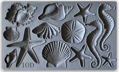 IOD Sea Shells Decor Mould