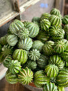 Artificial Barrel Cactus Succulent, Realistic Succulent greenery, fake cactus succulent, craft supply, floral arranging supply, 2 colors