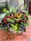 The Sallie Succulent Herb Garden Centerpiece For Kitchen Table, spring Summer arrangement, year round centerpiece, farmhouse rustic decor