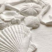 IOD Sea Shells Decor Mould