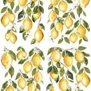 IOD Lemon Drops Rub On Transfer Sheet