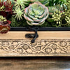 The Phoebe Succulent Herb Garden Centerpiece For Kitchen Table